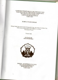 Image of Gambaran Pemeliharaan Kesehatan Gigi dan Mulut pada Ibu Hamil Tri Semester Pertama di Puskesmas Lampahan Kabupaten Bener Meriah Tahun 2019