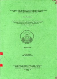 Image of Gambaran Perilaku Pemeliharaan Kebersihan Gigi dan Mulut pada Perokok di Kantor UPTD Peudada Kabupaten Bireuen Tahun 2018