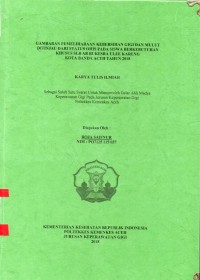 Image of Gamaran Pemeliharaan Kebersihan Gigi dan Mulut Ditinjau dari Status OHIS pada Siswa Berkebutuhan Khusus SLB Bukesra Ulee Kareng Kota Banda Aceh Tahun 2018
