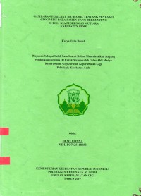 Image of Gambaran Perilaku Ibu Hamil Tentang Penyakit Gingivitis pada Pasien yang Berkunjung di Poli KIA Puskesmas Mutiara Kabupaten Pidie
