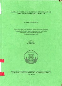 Image of Gambaran Pengetahuan Ibu Tentang Pemeliaraan Gigi Berjejal Siswa SD Negeri 4 Banda Aceh