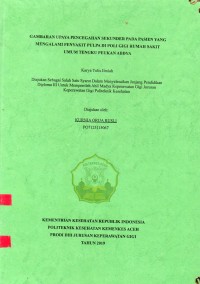 Image of Gambaran Upaya Pencegahan Sekunder pada Pasien yang Mengalami Penyakit Pulpa di Poli Gigi Rumah Sakit Umum Tengku Peukan Abdya