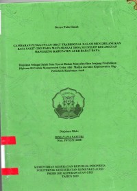 Image of Gambaran Penggunaan Obat Tradisional Dalam Menghilangkan Rasa Sakit Gigi pada Masyarakat Desa Seunelop Kecamatan Manggeng Kabupaten Aceh Barat Daya