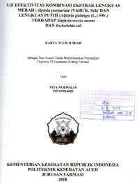 Image of Uji Efektivitas Kombinasi Ekstrak Lengkuas Merah (Alpinia Purpurata (Vieill) K. Sch) Dan Lengkuas Putih (Alpinia Galanga (L.) SW.) Terhadap Staphyloccoccus Aureus Dan Escherichia Coli