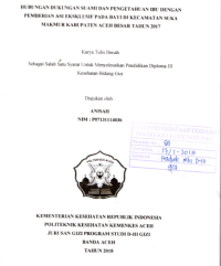 Image of Hubungan Dukungan Suami Dan Pengetahuan Ibu Dengan Pemberian ASI Ekslusif Pada Bayi di Kecamatan Suka Makmur Kabupaten Aceh Besar Tahun 2017