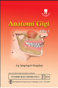 Image of Anatomi gigi