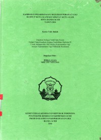 Image of Gambaran Pelaksanaan UKGS Oleh Pearawat Gigi di SDN 27 Kuta Alam Kecamatan Kuta Alam Kota Banda Aceh Tahun 2016