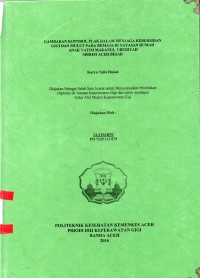 Image of Gambaran Kontrol Plak dalam Menjaga Kebersihan Gigi dan Mulut pada Remaja di Yayasan Rumah Anak Yatim Makanul Ubudiyah Sibreh Aceh Besar