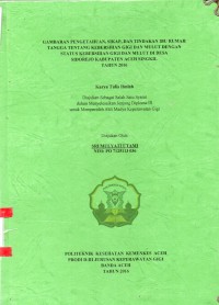 Image of Gambaran Pengetahuan, Sikap, dan Tindakan Ibu Rumah Tangga tentang Kebersihan Gigi dan Mulut dengan Status Kebersihan Gigi dan Mulut di Desa Sidoreji Kabupaten Aceh Singkil Tahun 2016
