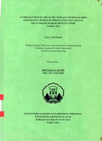 Image of Gambaran Pengetahuan Ibu Tentang Rampan Karies pada Balita di Desa Kumbang Unoe Kecamatan Geulumpang Baro Kabupaten Pidie