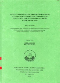 Image of Gambaran Peran Ibu Ditinjau dari Motivator, Edukator, dan Fasilitator dalam Mencegah Terjadinya Karies Gigi Pada Siswa Paud Al-Ula Kecamatan Lhoknga Aceh Besar